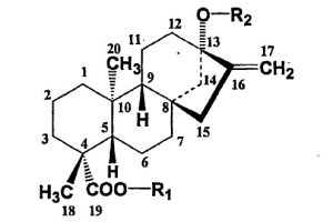 Химическая структура гликозидов стевии Химическая структура гликозидов стевии
