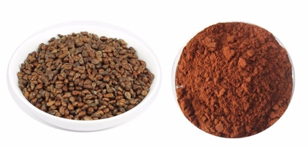 Экстракт виноградных косточек